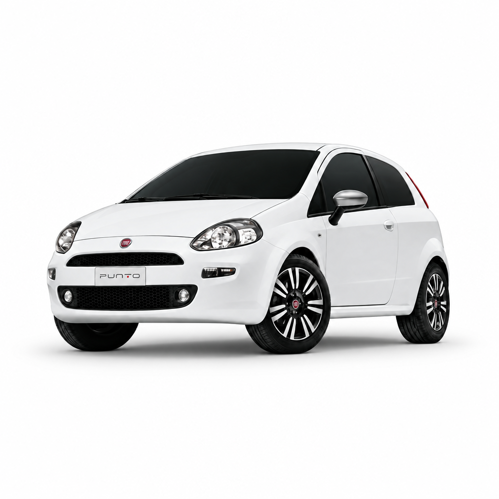Punto Evo